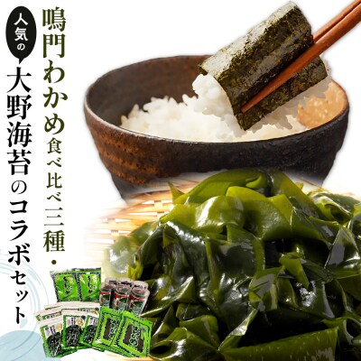 鳴門わかめ食べ比べ三種、人気の大野海苔のコラボセット【BC011】