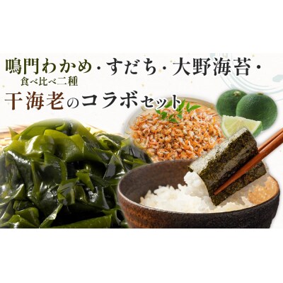鳴門わかめ食べ比べ二種、すだち、大野海苔、干海老のコラボセット【BC015】