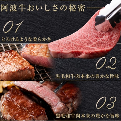 特選阿波牛スライス・ステーキ詰め合わせ(特選ロース)計約1.8kg「希少部位焼肉付き」【AB009】
