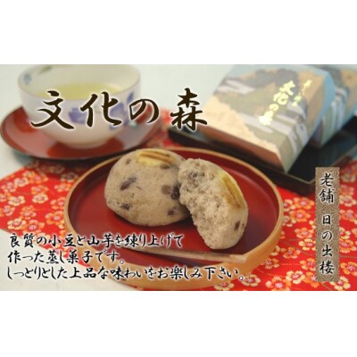 徳島銘菓　文化の森(ぶんかのもり)　12個入【CN093】