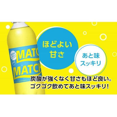 【定期便 全12回】マッチ(イエロー500mlペットボトル24本) 計288本【CA080】