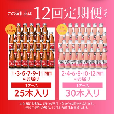 【定期便 全12回】オロナミンC&ファイブミニ 計330本【CA101】