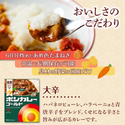 【隔月定期便全3回】ボンカレーゴールド(大辛) 30個×3回　計90個【CA022】