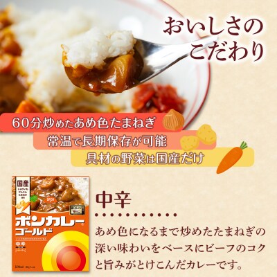 【定期便 全6回】ボンカレーゴールド(中辛)30個×6回　計180個【CA044】