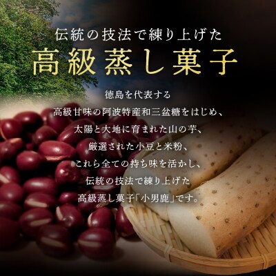 【定期便 2ヶ月コース】和菓子　徳島銘菓　小男鹿(さおしか)　標準2棹【CN103】