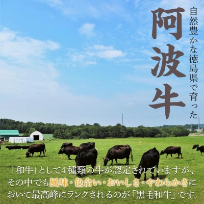 特選黒毛和牛　阿波牛すき焼き用　1kg【AA018】