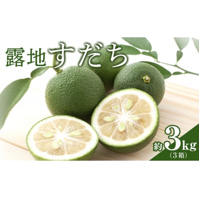【期間限定】露地すだち3kg(1箱 約1kg×3箱)【BP004】