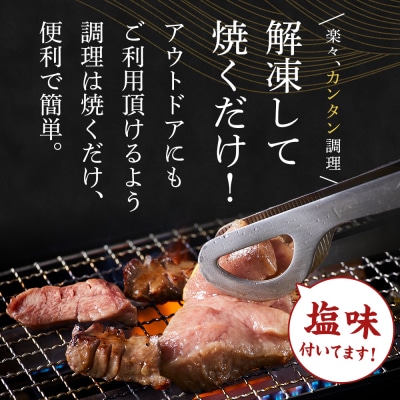 厳選厚切り牛タン　タン次郎BBQセット　タン次郎(計約550g)【AG010】