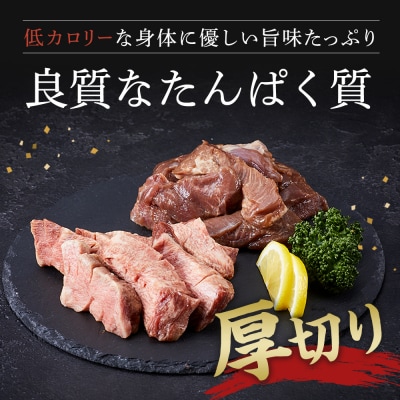 自家製厳選厚切り牛タン　タン治郎牛タンセット(計約480g) 【AG006】