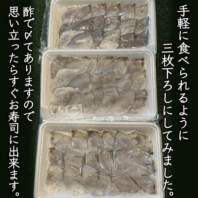 【期間限定】にぎり寿司用ボウゼ　4人前【BF003】