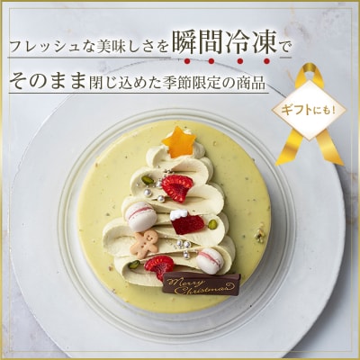 【数量限定】ノエルピスターシュ(冷凍クリスマスケーキ)【CM029】