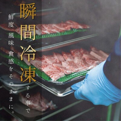 匠霜降りすき焼きセット　計1kg【FR005】