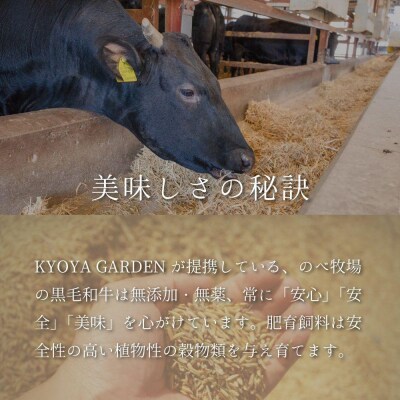 阿波牛サーロインステーキ　400g【FR006】