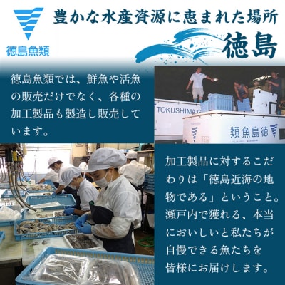 【お歳暮・贈答用・のし付き】冷凍ハモ鍋セット(2～3人前)【AQ002】