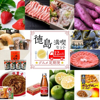 【定期便 全12回】徳島満喫 グルメセット【ZZ001】