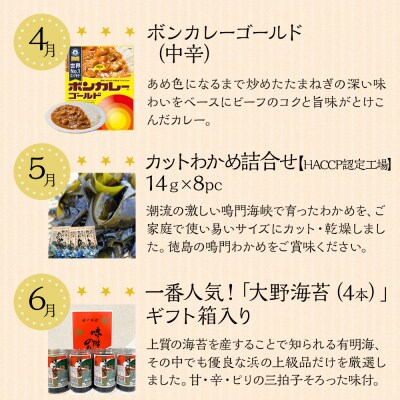 【定期便 全6回】徳島満喫 グルメセット【ZZ002】