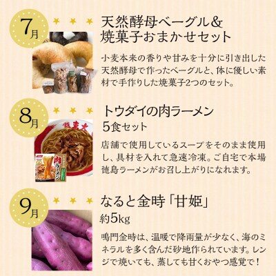 【定期便 全6回】徳島満喫 グルメセット【ZZ002】