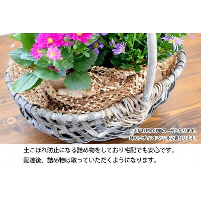 【定期便 全3回】季節のお花　おまかせ寄せ植え【FP007】