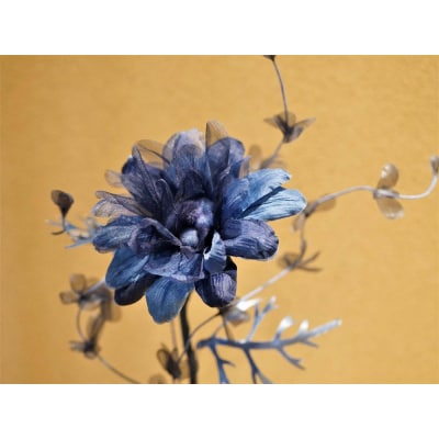 藍染花　一輪挿しアレンジ 小(フランネルフラワー)【DA021】