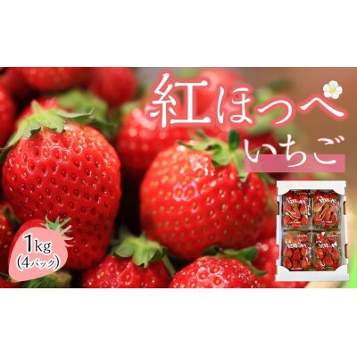 いちご「紅ほっぺ」 4パック　計1kg【FL003】