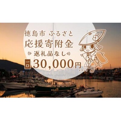 【返礼品なし】徳島市　応援寄附金(一口30,000円)【ZZ006】