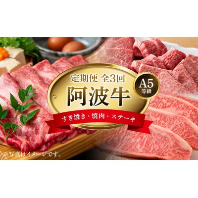 【定期便 全3回】A5等級阿波牛セット(霜降りすき焼き・サーロインステーキ・焼肉)【FR009】