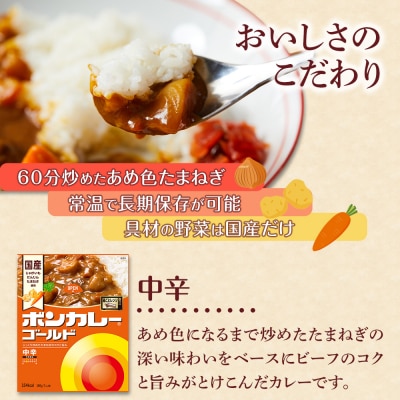 【定期便 全7回】ボンカレーゴールド(中辛)30個×7回　計210個【CA171】