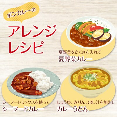 【定期便 全9回】ボンカレーゴールド(中辛)30個×9回　計270個【CA173】