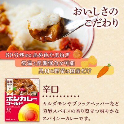 【定期便 全10回】ボンカレーゴールド(辛口)30個×10回　計300個【CA180】