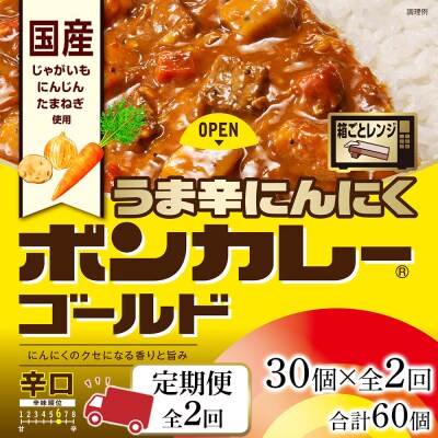 【定期便 全2回】ボンカレーゴールド うま辛にんにく(辛口) 30個×2回　計60個【CA214】