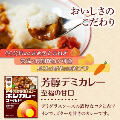 【定期便 全3回】ボンカレーゴールド 芳醇デミカレー至福の甘口 30個×3回　計90個【CA217】