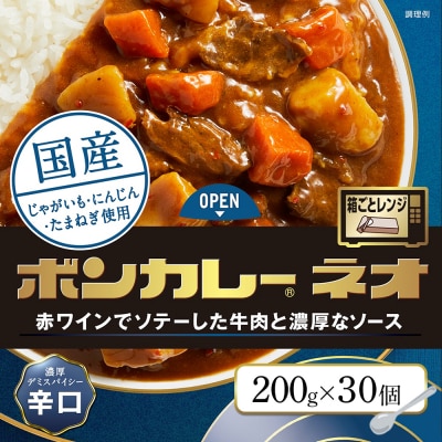 ボンカレーネオ 濃厚デミスパイシー(辛口)　30個【CA164】