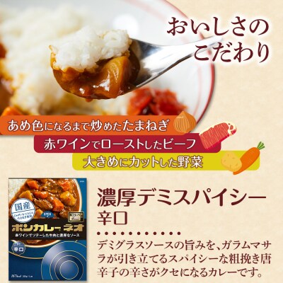 【隔月定期便 全3回】ボンカレーネオ 濃厚デミスパイシー(辛口)30個×3回　計90個【CA212】