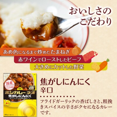 【定期便 全2回】ボンカレーネオ焦がしにんにくやみつきスパイシー30個×2回　計60個【CA204】