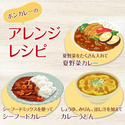 【定期便 全2回】ボンカレーネオ焦がしにんにくやみつきスパイシー30個×2回　計60個【CA204】