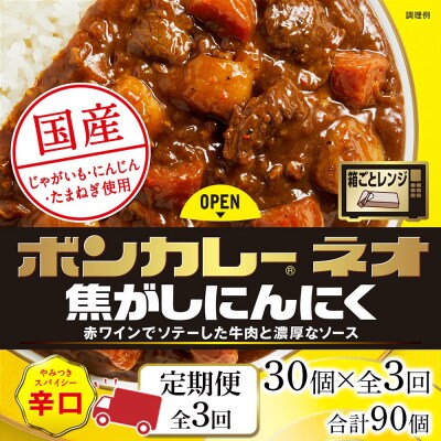 【定期便 全3回】ボンカレーネオ焦がしにんにくやみつきスパイシー30個×3回　計90個【CA205】