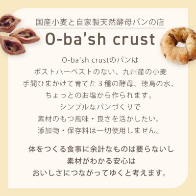 天然酵母ベーグルおすすめセット　12個【ER006】