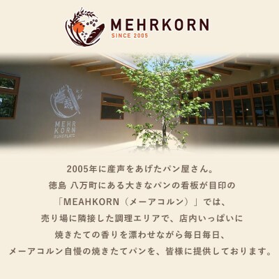 【定期便 全3回】<冷凍パン>MEHRKORN おすすめパンセット【FH002】