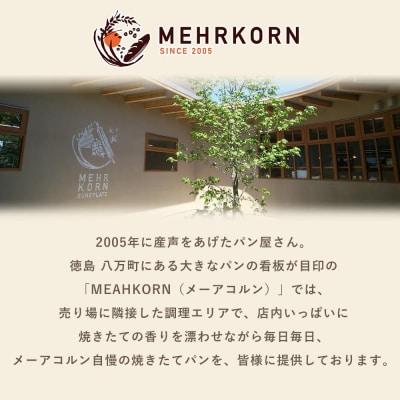 【定期便 全6回】<冷凍パン>MEHRKORN おすすめパンセット【FH003】