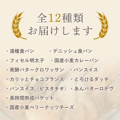 【定期便 全6回】<冷凍パン>MEHRKORN おすすめパンセット【FH003】