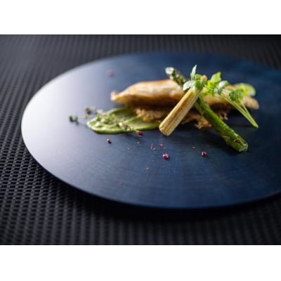 RAYS PLATE Round L 藍染【DR052】