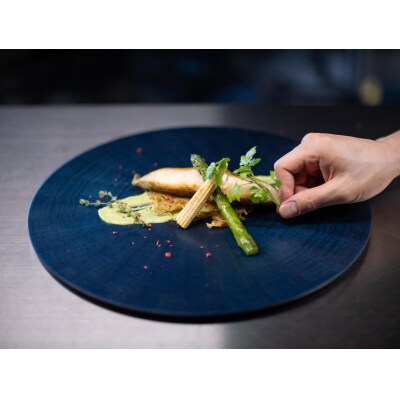 RAYS PLATE Round L 藍染【DR052】