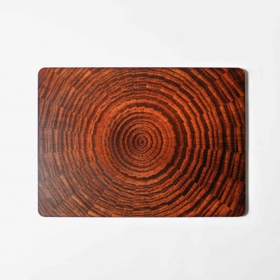 RAYS PLATE Rectangle 漆【DR055】