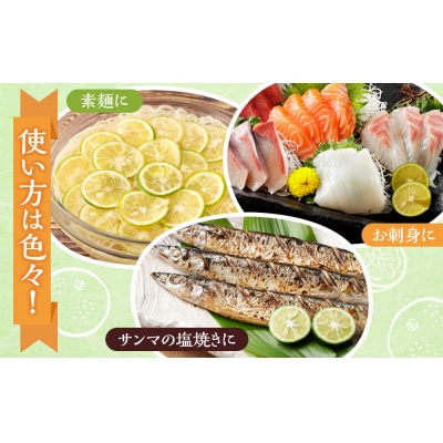 先行予約 露地すだち 2箱(約2kg)【FL010】