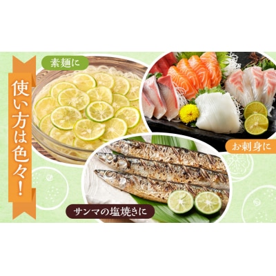 先行予約 ハウスすだち 1箱(約1kg)【FL008】