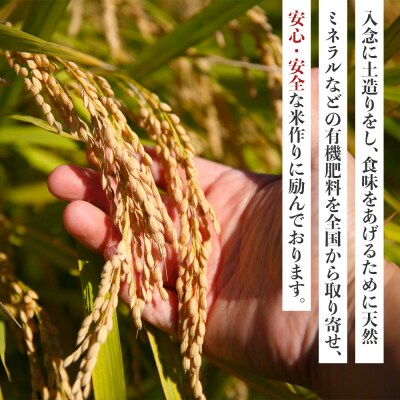 先行予約【令和8年産 新米】こしひかり 3kg(農薬・化学肥料不使用)【BU003】