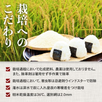 先行予約【令和8年産 新米】こしひかり 3kg(農薬・化学肥料不使用)【BU003】