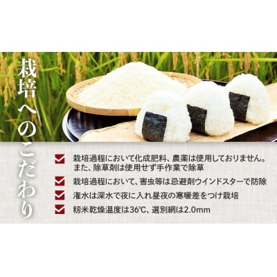 令和7年産 新米 こしひかり 10kg【BU005】