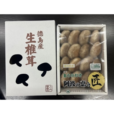 徳島県産 生しいたけ  1箱(12個～16個)【BP018】