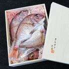 天然鳴門鯛　一夜干し(250g ×3枚)冷凍【AQ008】